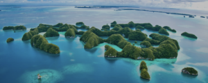 Palau Spawning Special 10 Nights - Sale